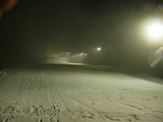 Partia din Gura Humorului