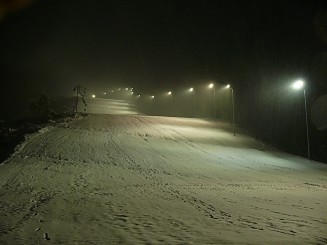 Partia din Gura Humorului