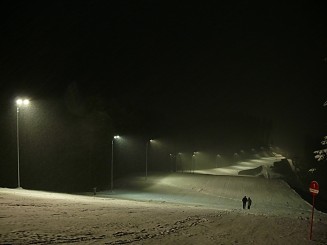 Partia din Gura Humorului