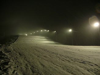 Partia din Gura Humorului