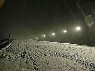 Partia din Gura Humorului