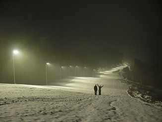 Partia din Gura Humorului