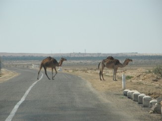 calatoria cu jeepul in desert