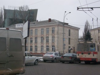 Un oras gri , Chisinaul