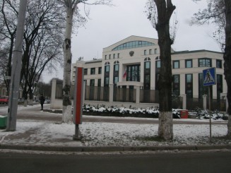 Un oras gri , Chisinaul