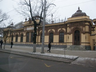 Un oras gri , Chisinaul