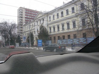 Un oras gri , Chisinaul