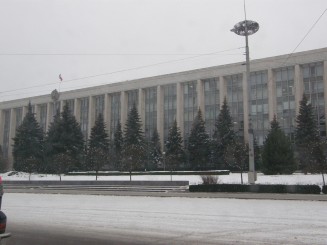 Un oras gri , Chisinaul