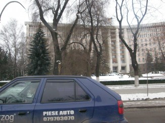 Un oras gri , Chisinaul