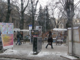 Un oras gri , Chisinaul