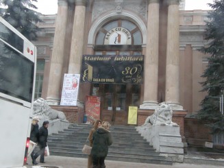 Un oras gri , Chisinaul