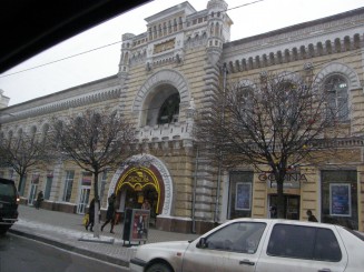 Un oras gri , Chisinaul