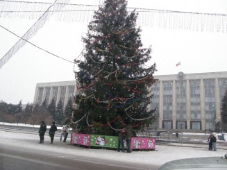 Un oras gri , Chisinaul