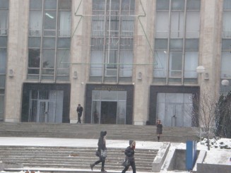 Un oras gri , Chisinaul