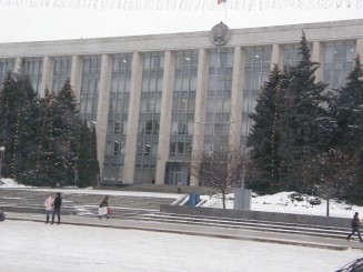 Un oras gri , Chisinaul