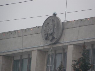 Un oras gri , Chisinaul