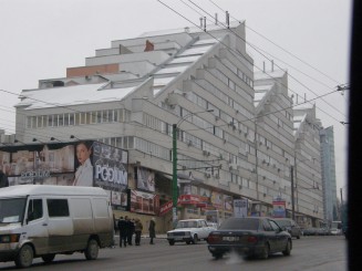 Un oras gri , Chisinaul