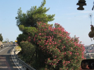 Dubrovnik - un loc de basm