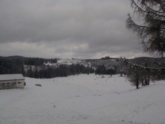 O iarna de vis la Izvoare