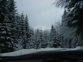 O iarna de vis la Izvoare