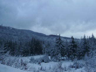 O iarna de vis la Izvoare