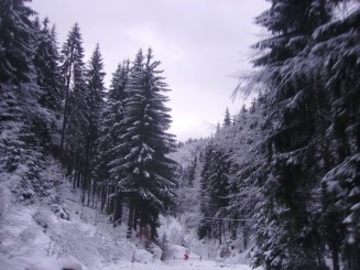 O iarna de vis la Izvoare