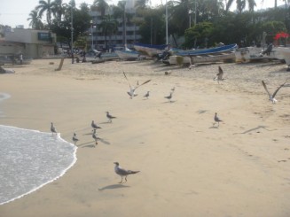 Acapulco, Mexic