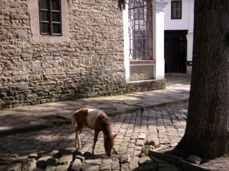 Manastirea Dryanovo