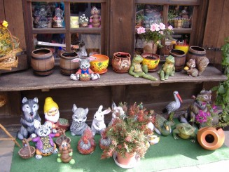 Tryavna-zona veche-florarie