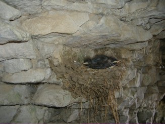 Cheile Dobrogei-grota Manastirii Cassian