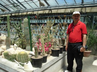 Gradina botanica din Jibou