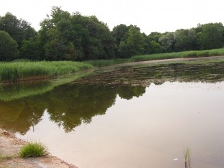 Gradina Botanica Iasi