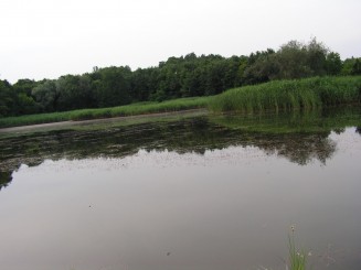 Gradina Botanica Iasi