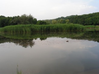 Gradina Botanica Iasi