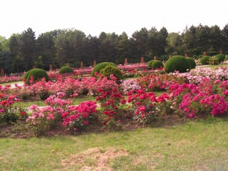 Gradina Botanica Iasi