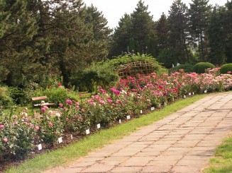 Gradina Botanica Iasi