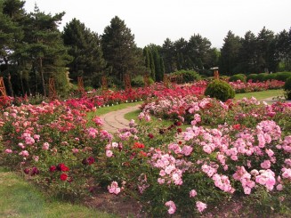Gradina Botanica Iasi