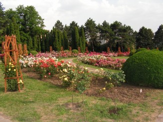 Gradina Botanica Iasi