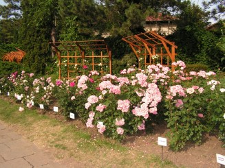 Gradina Botanica Iasi