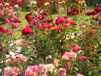 Gradina Botanica Iasi