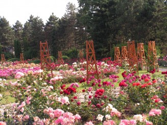 Gradina Botanica Iasi