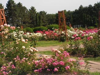 Gradina Botanica Iasi