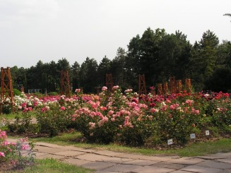 Gradina Botanica Iasi