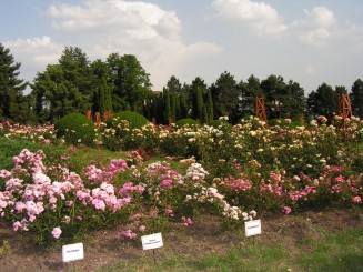 Gradina Botanica Iasi