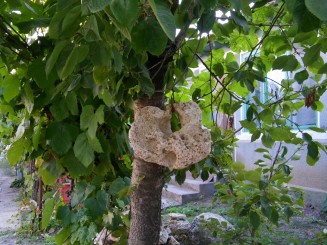 Sederea la Pensiunea La Melci