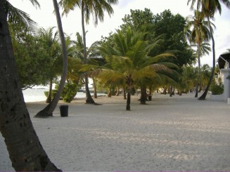 Maldive