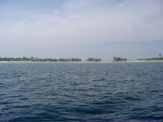 Maldive