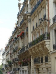 muscate la fereastra