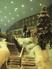 Dubai, Hotelul Burj Al Arab si alte minunatii