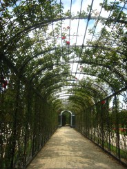 Viena - Gradini Schonbrunn